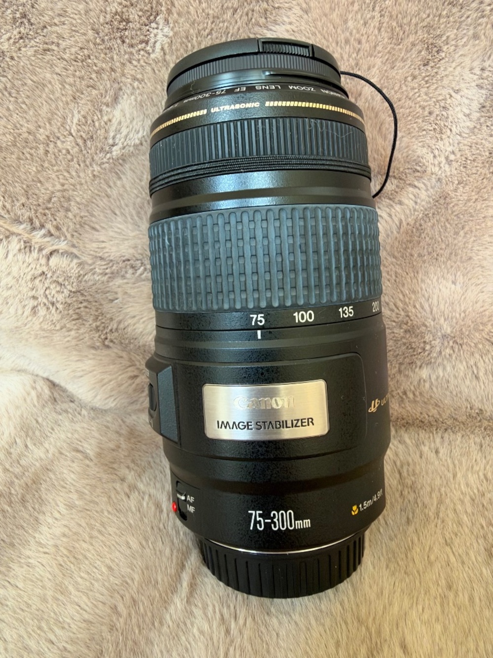 Canon EF 75-300mm f/4-5.6 IS USM Ultrasonic Zoom Lens Image Stabilizer